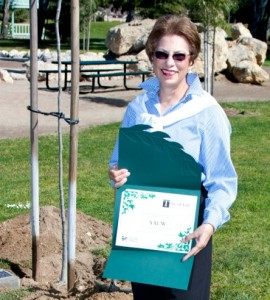 AAUW Tree and Certificate