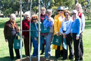 AAUW Tree Planting March 2012